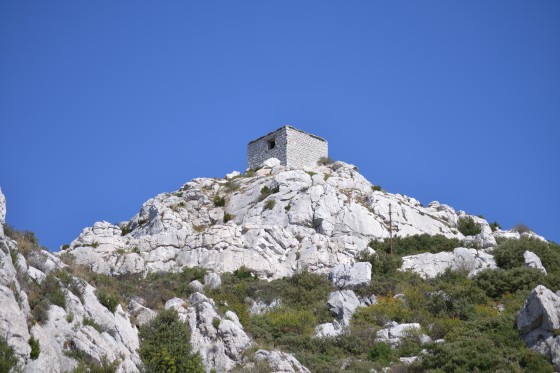 Tour des Opies