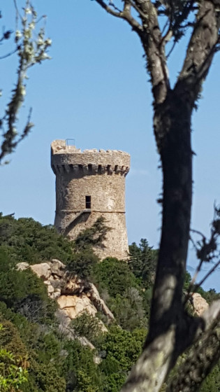 Tour sur la péninsule de Capu di Muru à Coti-Chiavari