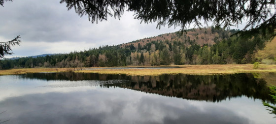 Lac