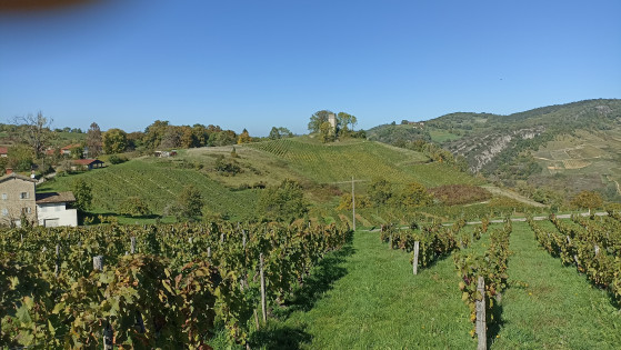 Tour et vignoble de Merignat