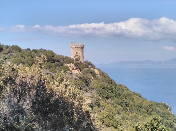 Tour sur la péninsule de Capu di Muru à Coti-Chiavari