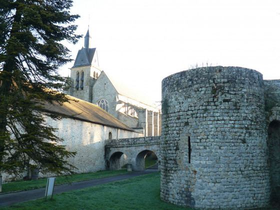 Tour ronde