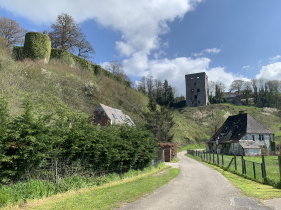Tour Salamandre