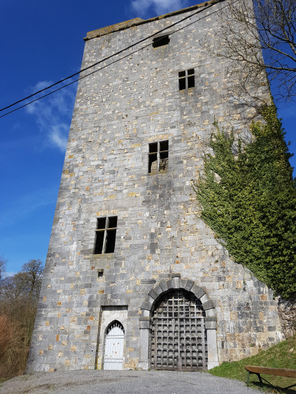 Tour Salamandre