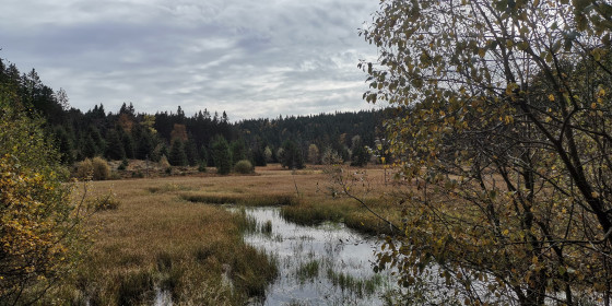 Tourbière de Jemnaufaing
