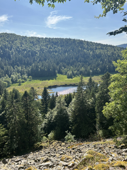 Tourbière de Machais