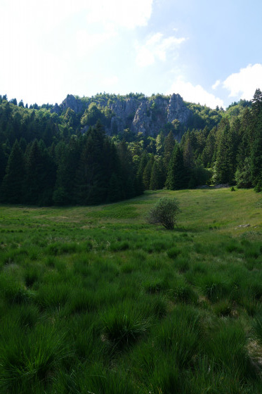 Tourbière de Missheiml