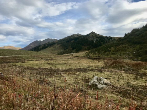 Tourbière du Bozon