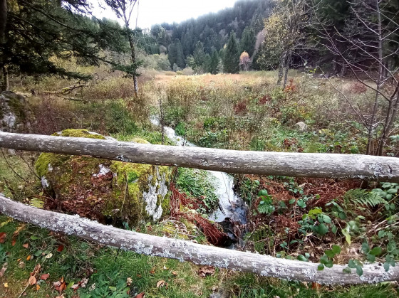Tourbière du Gaschney
