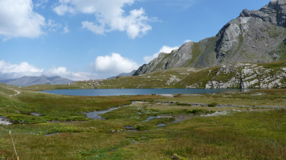 Tourbière du glacis amont du lac