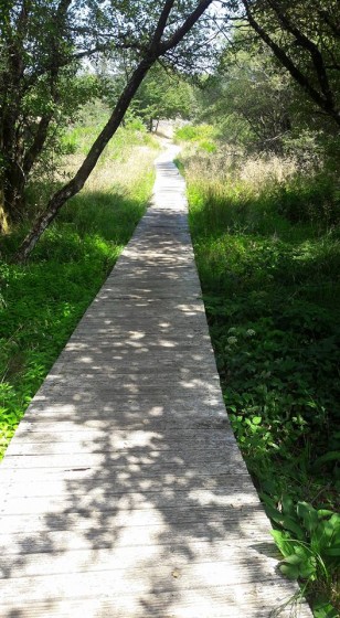 Tourbières