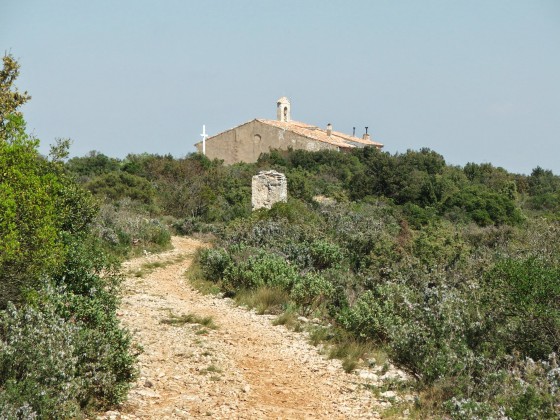 Tourves. St Probace Gorges du Caramy