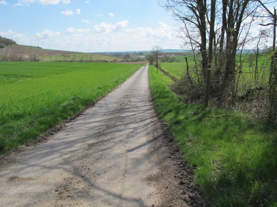 Tout droit vers Villevenard