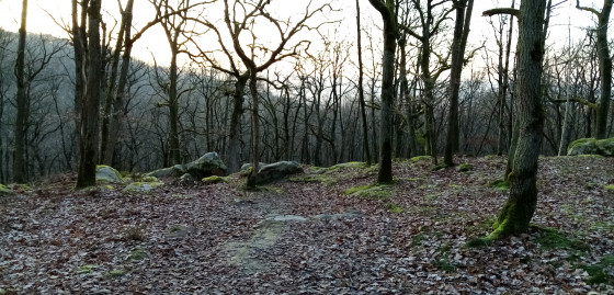 Trace à suivre