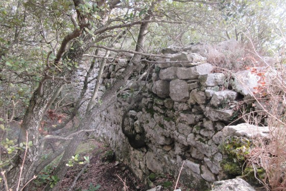 Trace de l\'oppidum de Piégu
