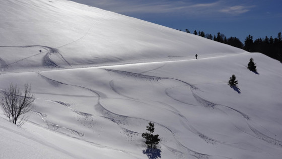Trace de ski