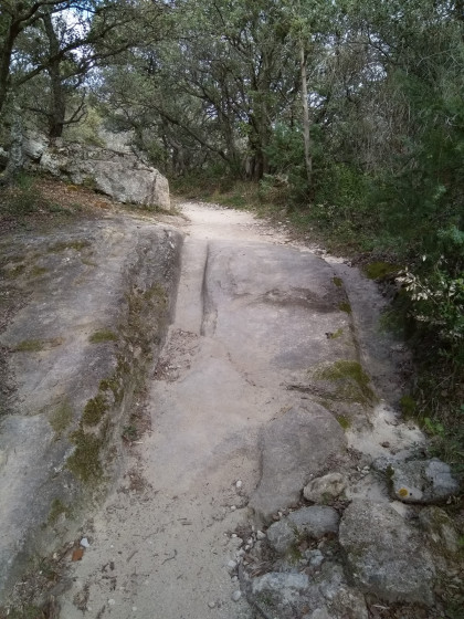 traces de roues dans la roche