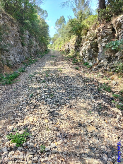 Tranchée  de l'ancienne voie férrée