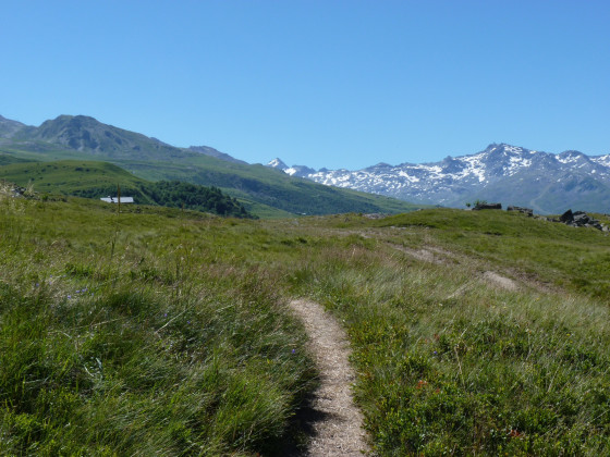 Traversée d\'alpages aux herbes grasses
