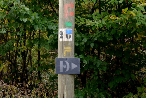 Traversée de la route départementale, D963