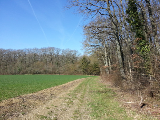 Traversée de plaine sur de grands chemins
