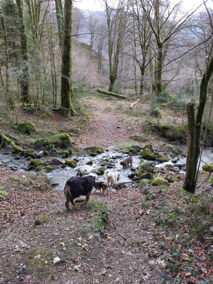 Travers&eacute;e du premier cours d'eau