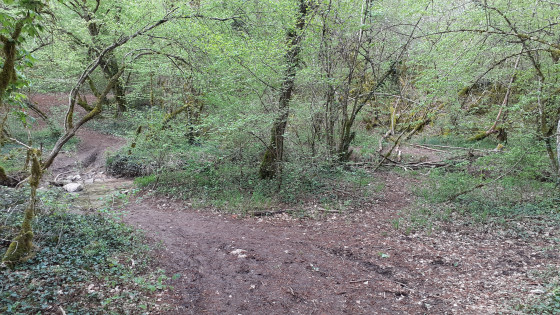 Travers&eacute;e du ruisseau au point 2