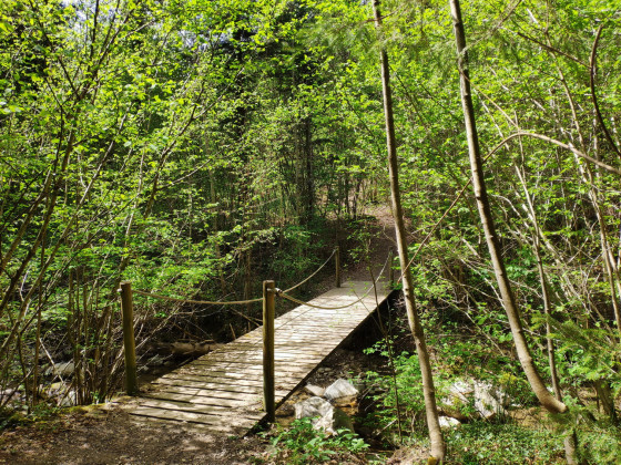 Traversée du ruisseau du Genon