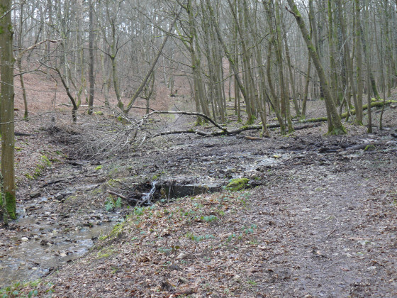 Traversée du ruisseau