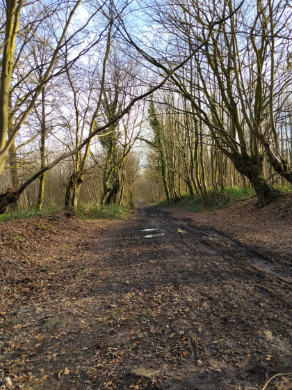 Travers&eacute;e du Bois Poret