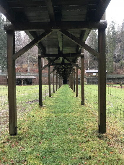 Lac du Brenet via le Mont d\'Orzeires et le Crêt des Alouettes Lac du Brenet via le Mont d\'Orzeires et le Crêt des Alouettes
