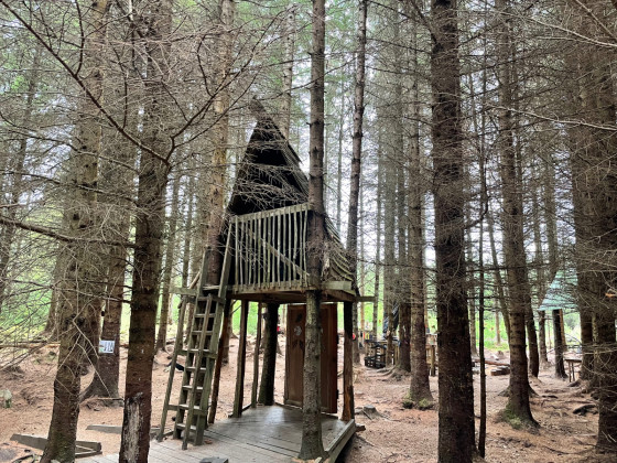 Cabane dans les arbres