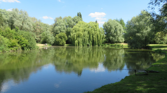 Très beau parc avant la grimpette du terril