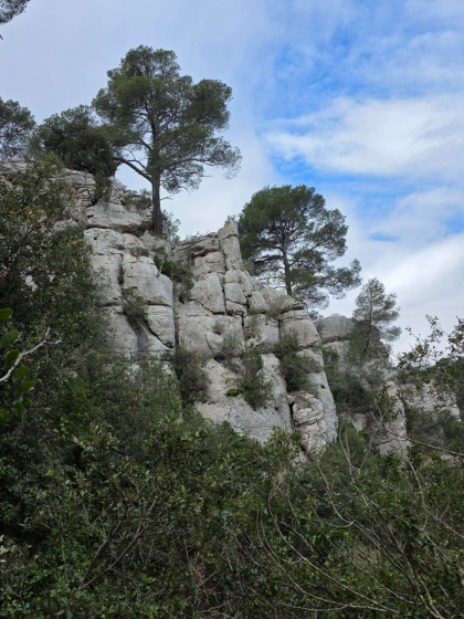 Très Beau Rocher