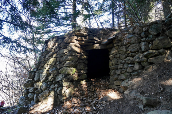 Très bel orri en forêt