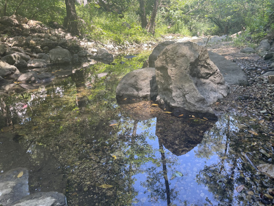 Tr&egrave;s belle randonn&eacute;e