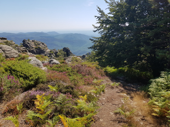 Tr&egrave;s belle vue au point 7