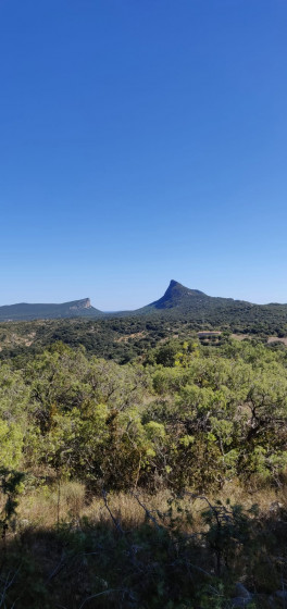 Trés belle vue sur le Pic Saint Loup