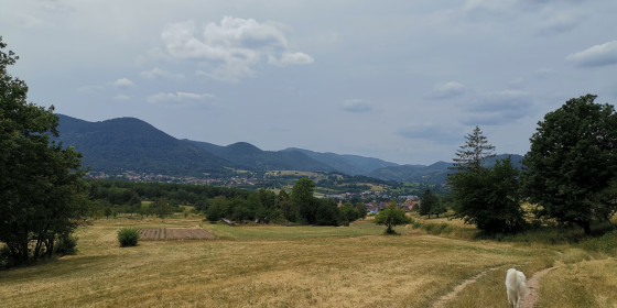 Triembach-au-Val