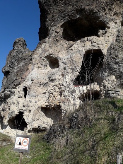 Troglodytes