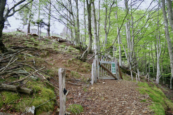 Troisième portillon