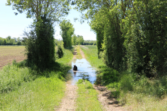 Trou d\'eau sur le chemin