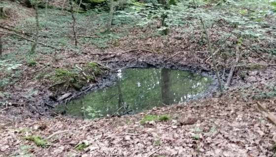 trou d'obus
