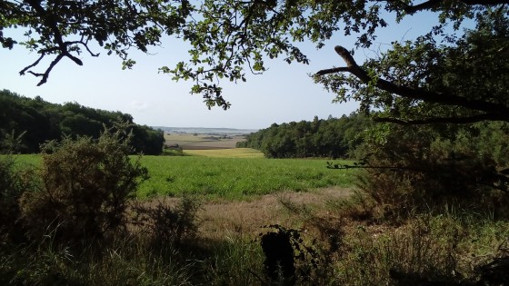 Trouée