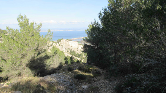 Trouée