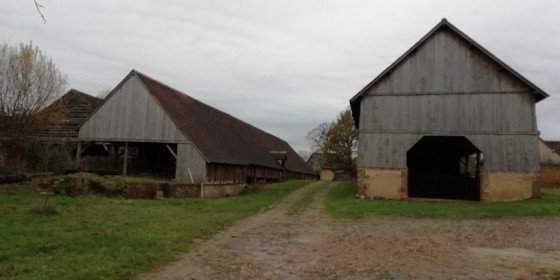 Tuilerie des Saules
