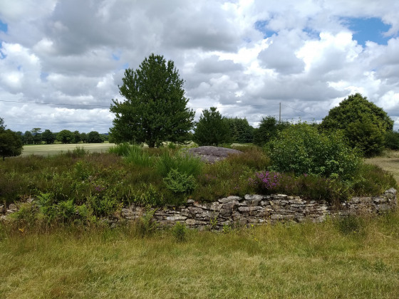 Tumulus de Larcuste