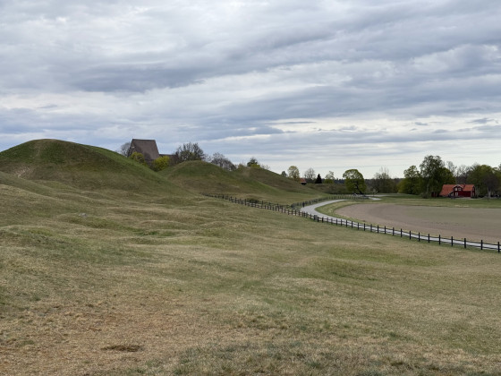 Tumulus royaux