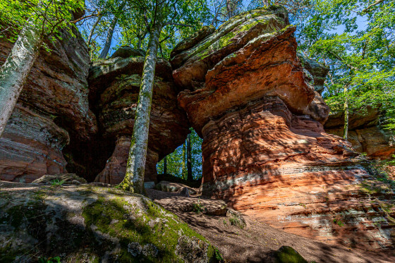 Les rochers de Roppeviller