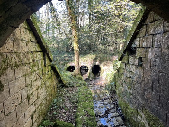 Tunnel